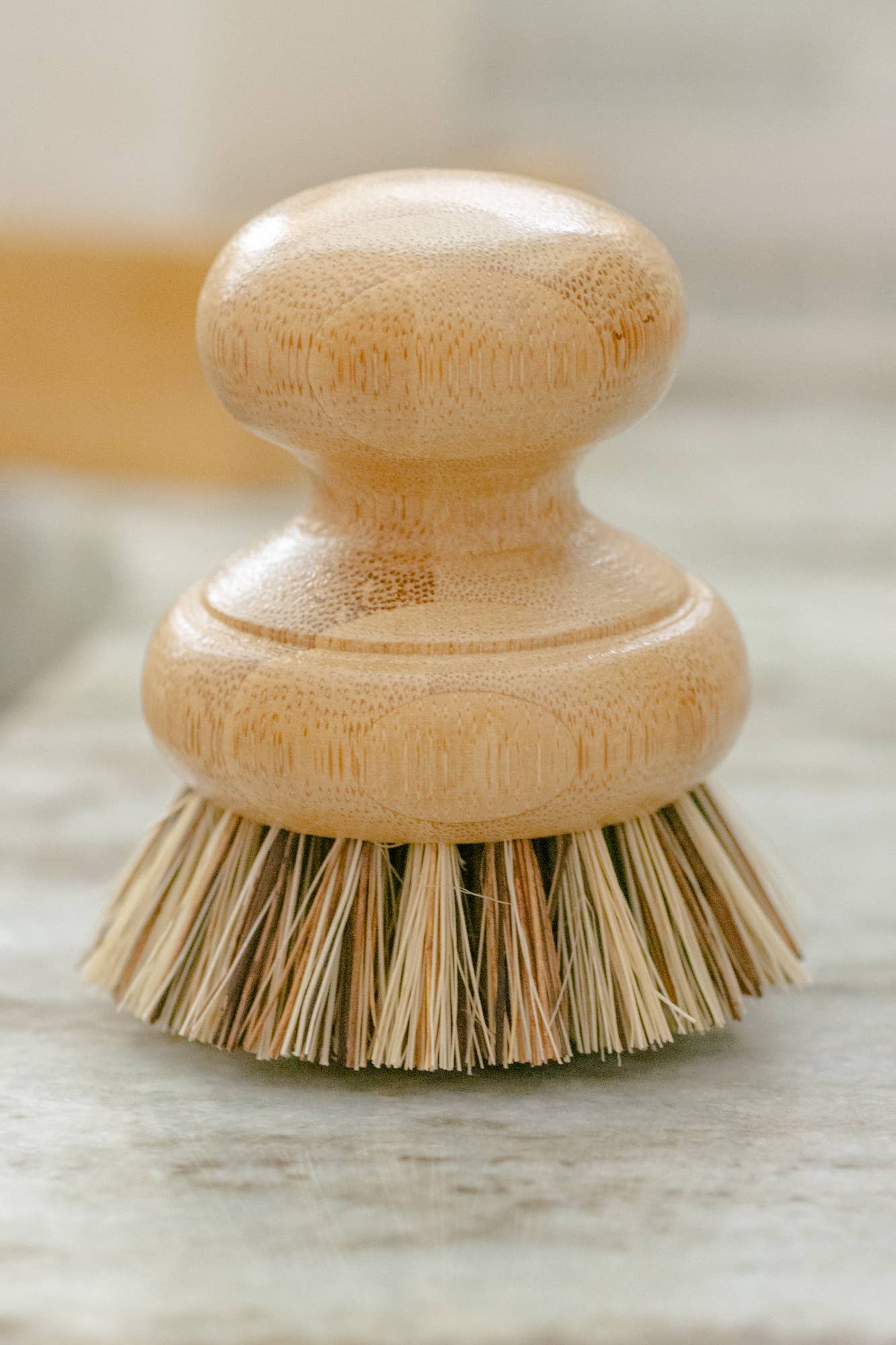 CASA AGAVE™ Pot Scrubber Brush - Hanna Herbals